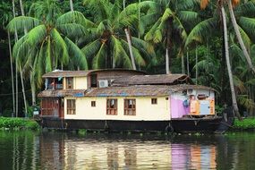 house boat on water beneath palm trees