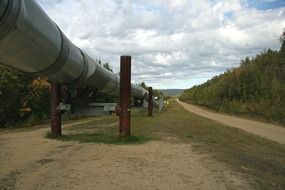 oil pipeline along road in wilderness, usa, alaska