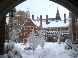 yard in front of campus buildings of yale university at snowy winter, usa, Connecticut, New Haven