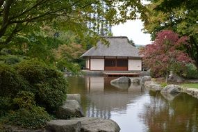 Green garden japanese houses Pond view