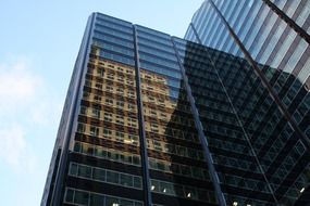 chicago downtown skyscraper
