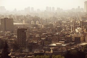 fog over urban architecture