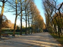 belgium sidewalk walkway