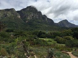 landscape of mountains in Kirstenbosch botanical garden