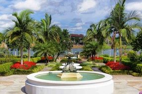 fountain among a picturesque park in summer