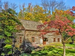 log house among colorful trees at sunny autumn day, usa, pennsylvania