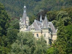 castle among the trees