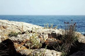 sea mediterranean