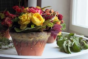 flower pot as a still life