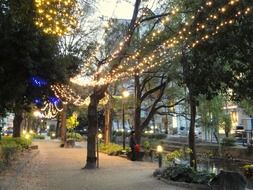 city park in japan