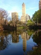 park with a pond in New York City