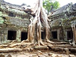 temple ruins, cambodia