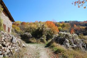 autumn trees near a building in bulgaria