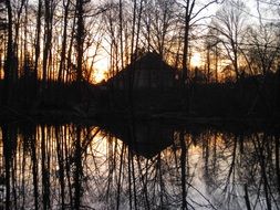 bright sunset over marshland