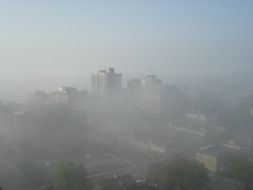 picture of city view on a foggy morning