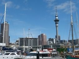 Port in Oakland, New Zealand