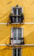 windows on the yellow wall