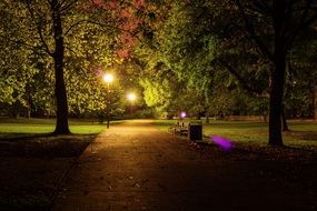 Night city park