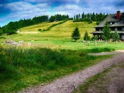 house among picturesque countryside in poland