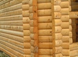 wooden buildings
