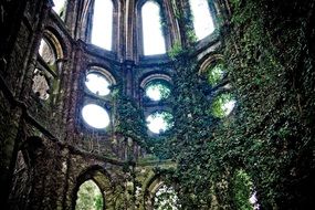 the ruins of the abbey in villers-la-ville