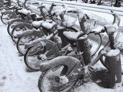 city bicycles under the snow, paris, france