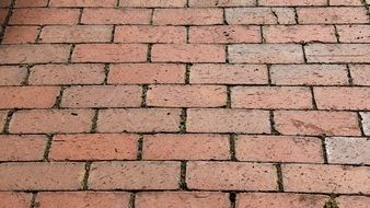 Wall of a building made of bricks