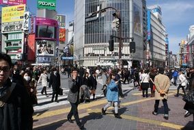 Busy traffic at the intersection in the Shibuya area of Tokyo