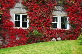autumn beauty building