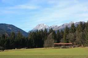 scenic mountains behind forest, austria