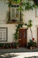 potted flowers at the rear entrance of a building in Portugal