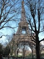 eiffel tower through trees Paris