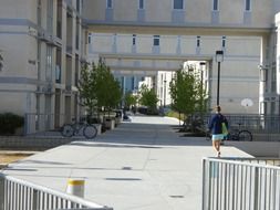 roosevelt college