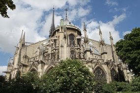 Notre Dame cathedral in Paris behind green trees