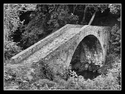 black and white photo of stone bridge among nature in a black frame