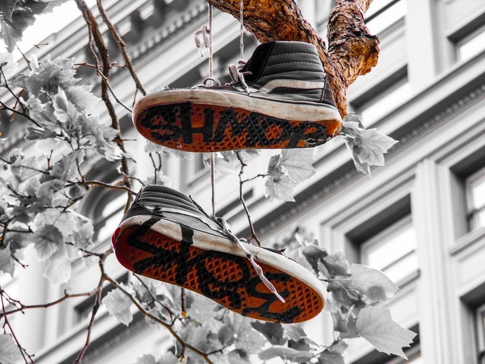black sneakers hanging on branch in city, usa, california, san francisco