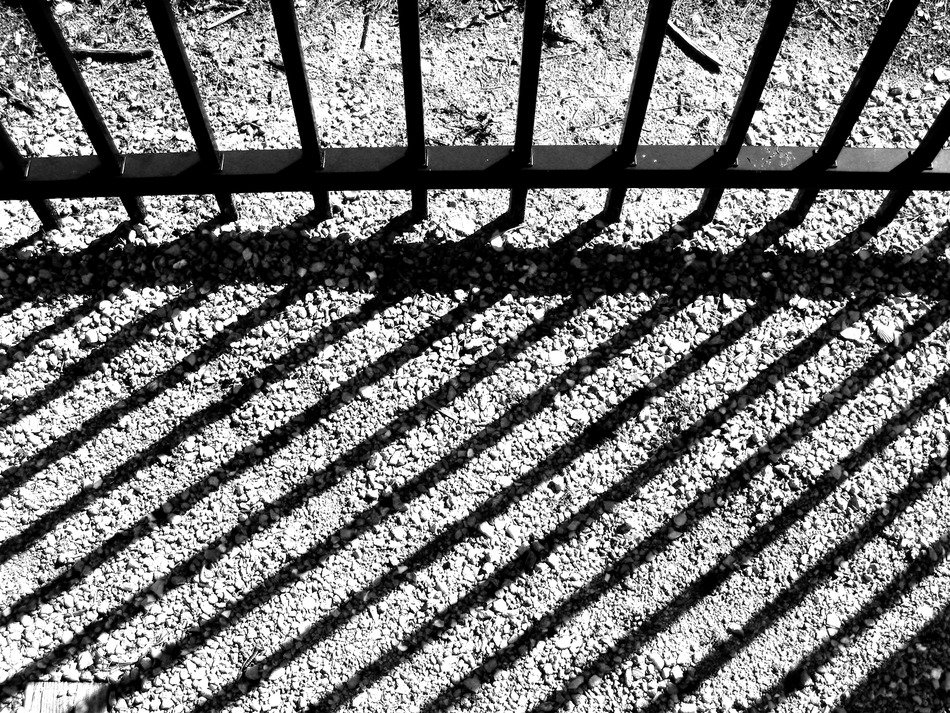 shadow from the fence of a prison in Florida