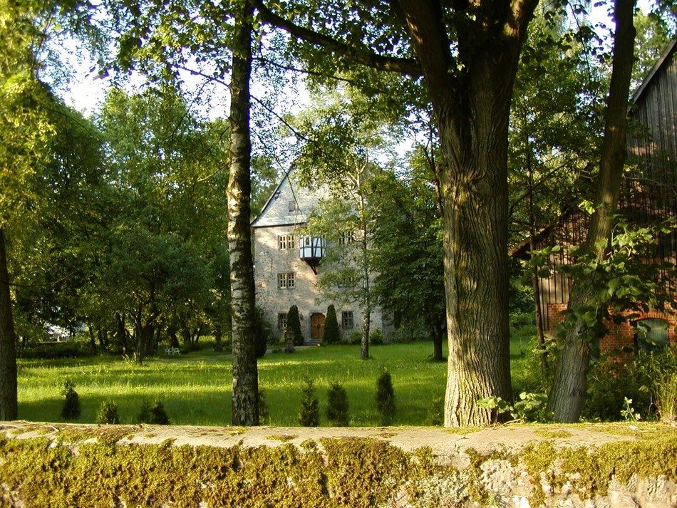 old building behind trees in park, germany