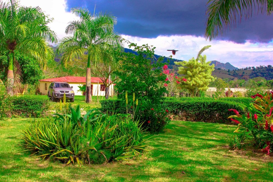 beautiful green landscape