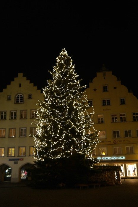 christmas lichterkette tree town hall square