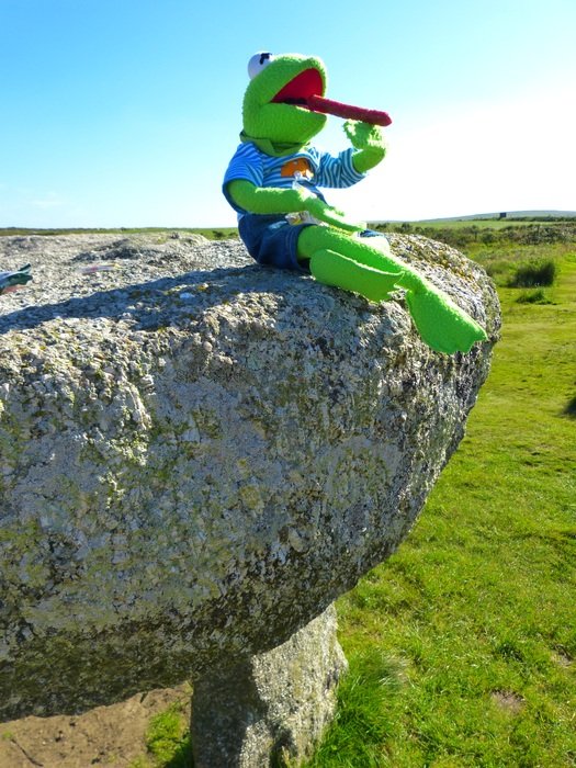 frog on the megalithic monument