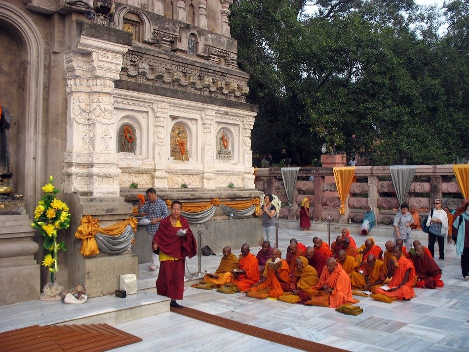 buddhist monks in orange clothing sitting on square at nunnery