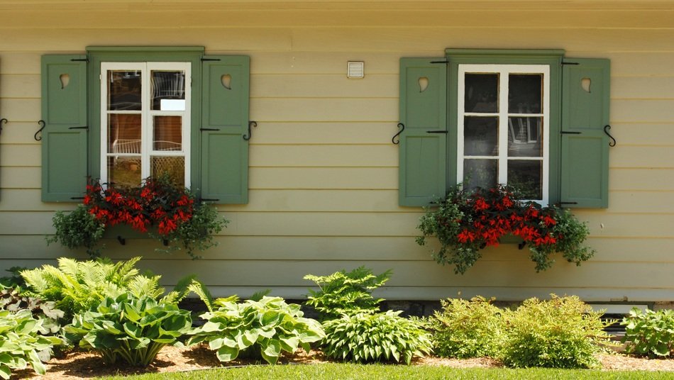 red flowers in boxes on facade at windows, canada, orleans, quebec