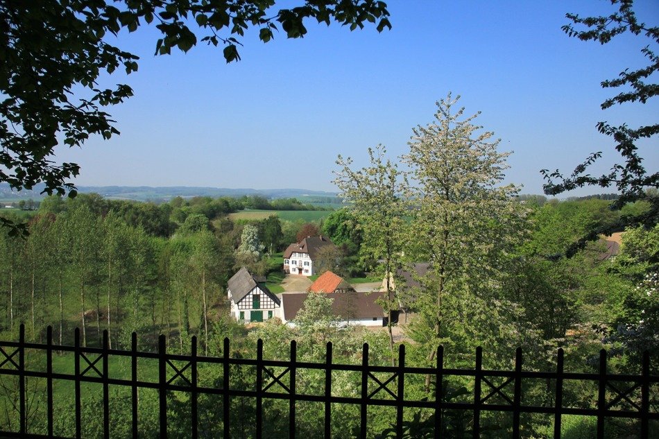 Houses among the plants behind the fence