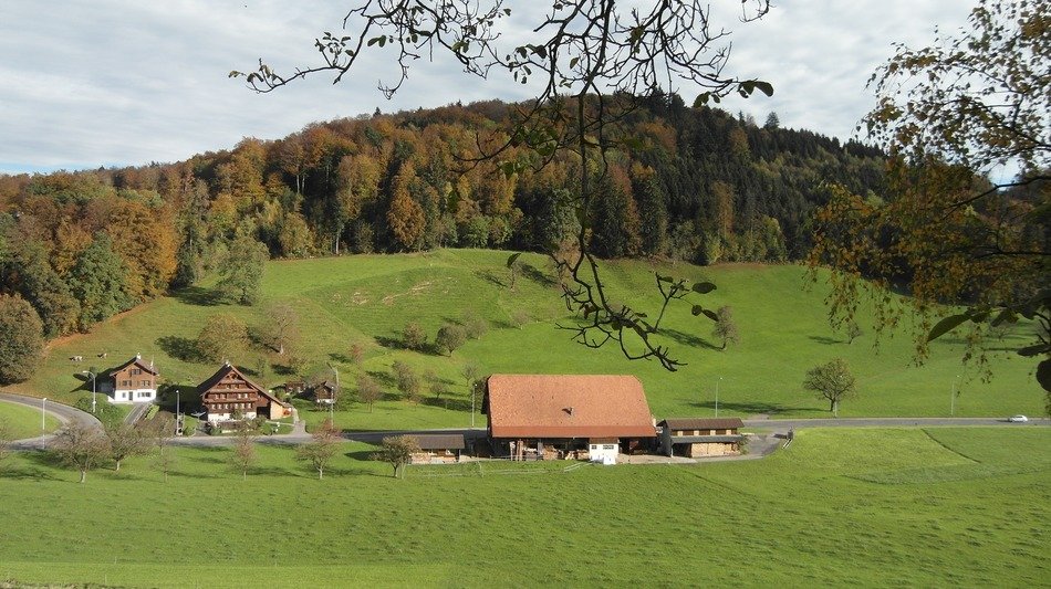 farm in Switzerland