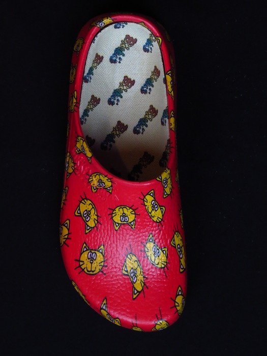 waterproof garden shoe