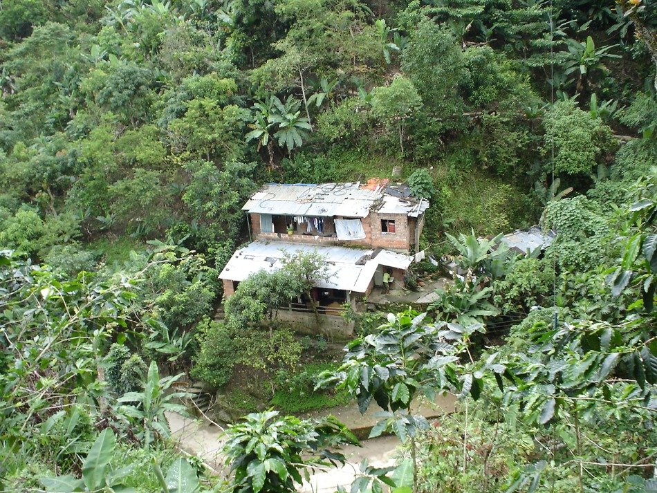 village house in wilderness, colombia