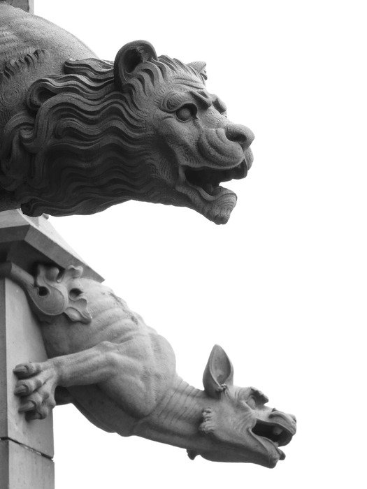 mythical creatures, gargoyles on ulm cathedral, germany, mÃ¼nster