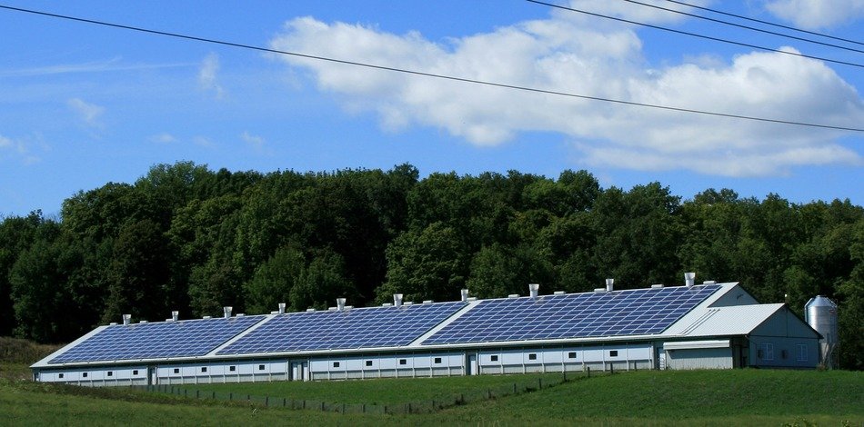 solar panels on roof of farm building in countryside at summer