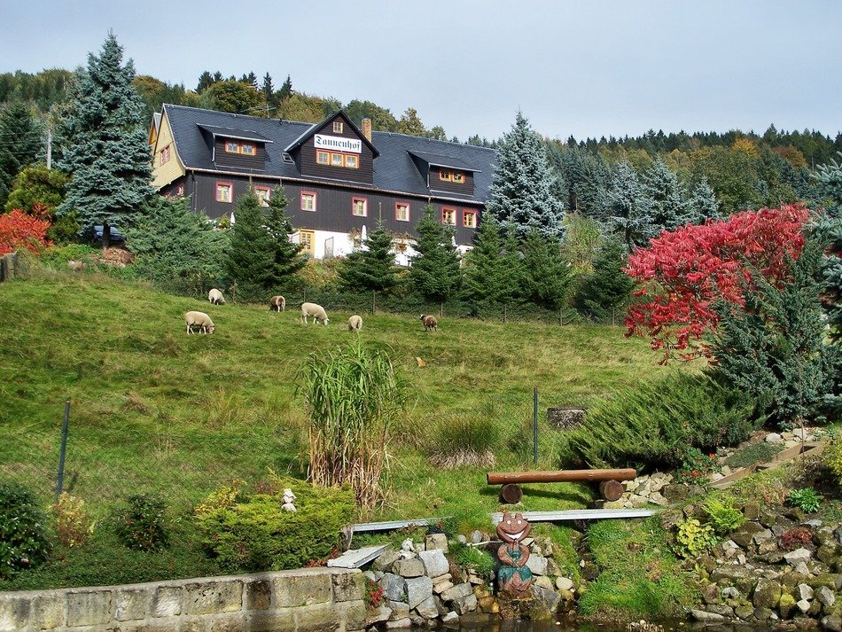 Pension Tannenhof on hill side at autumn, germany, Sebnitz